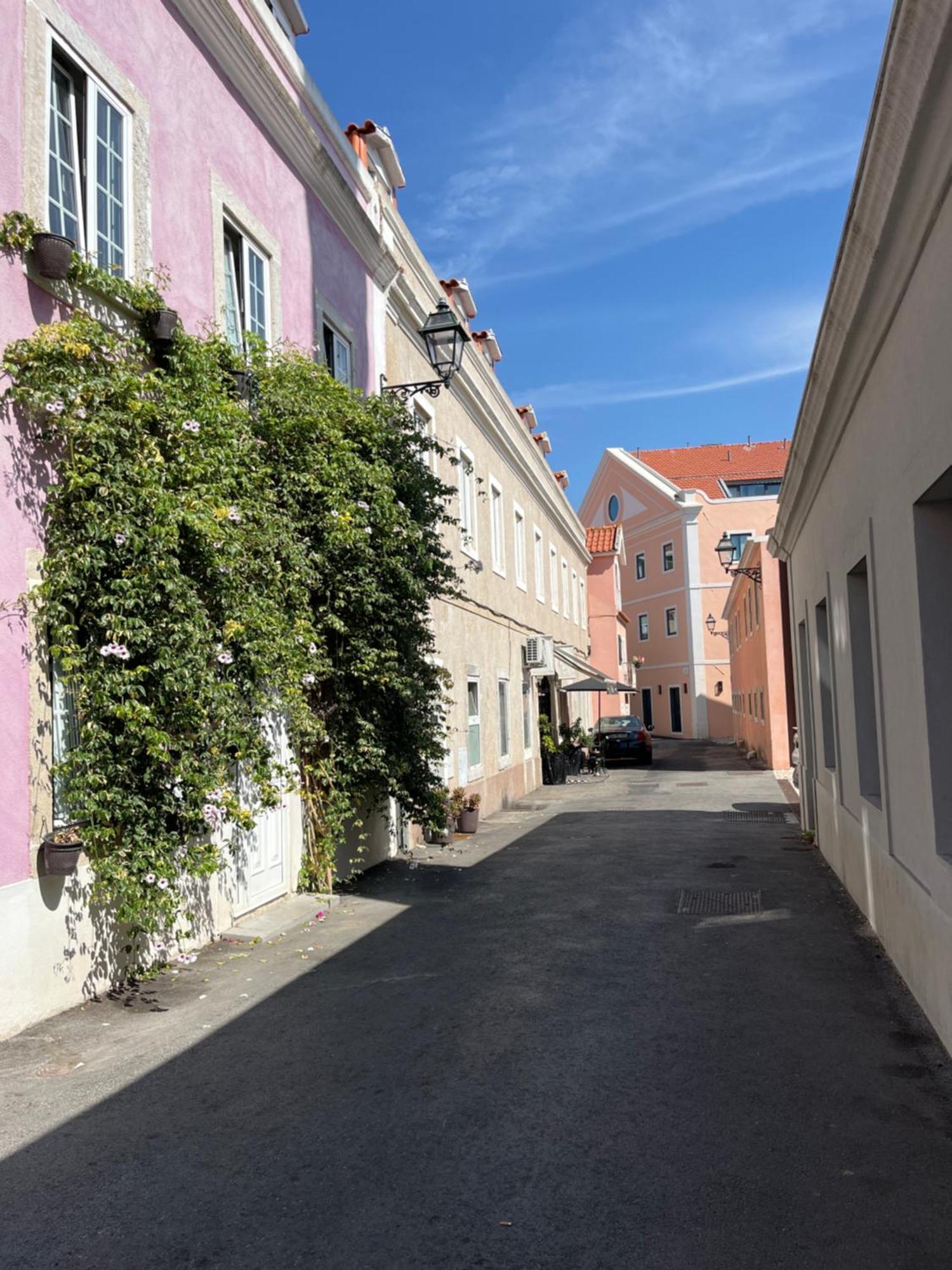 玫瑰色之家公寓 Lisboa 外观 照片