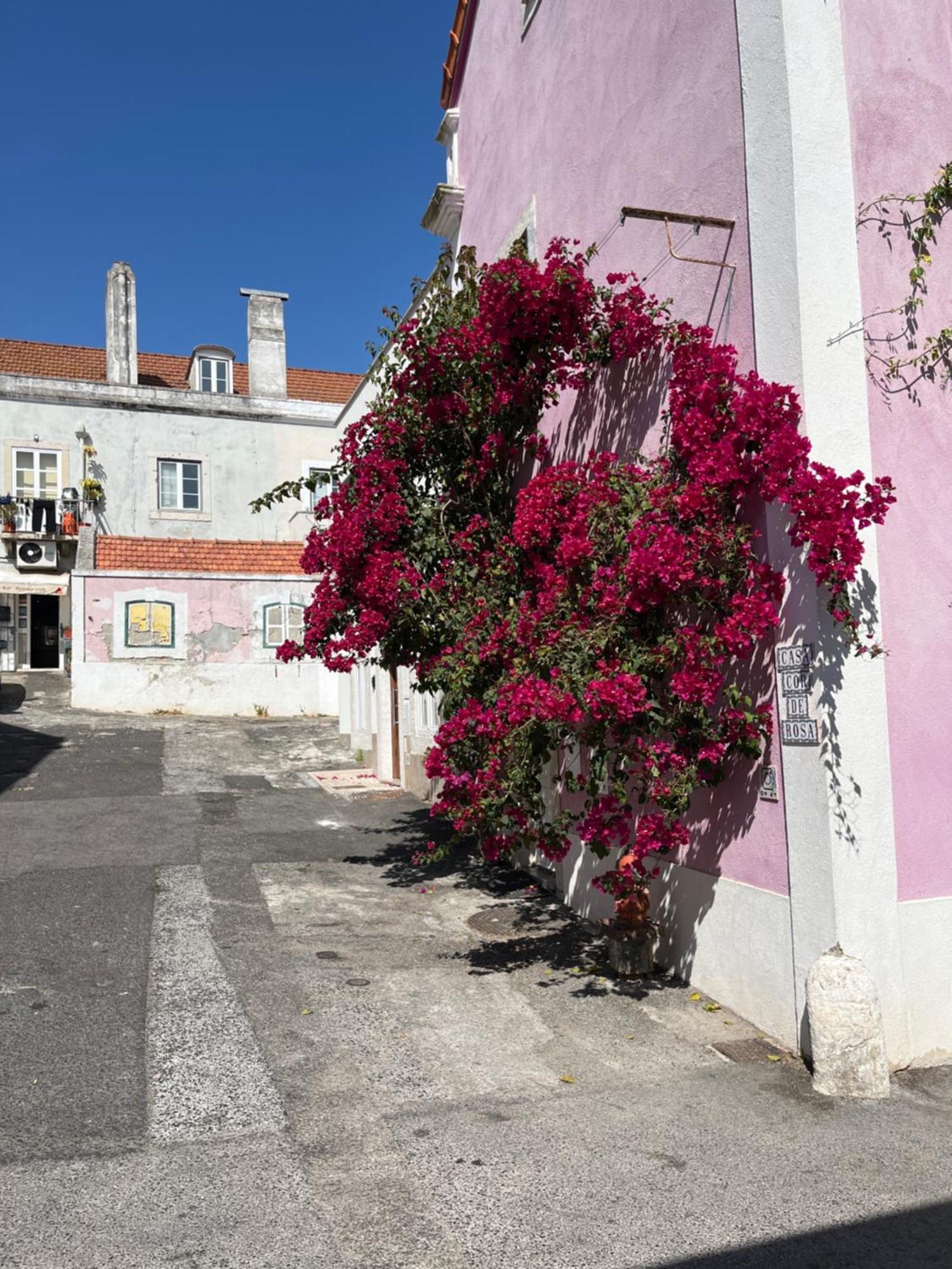 玫瑰色之家公寓 Lisboa 外观 照片