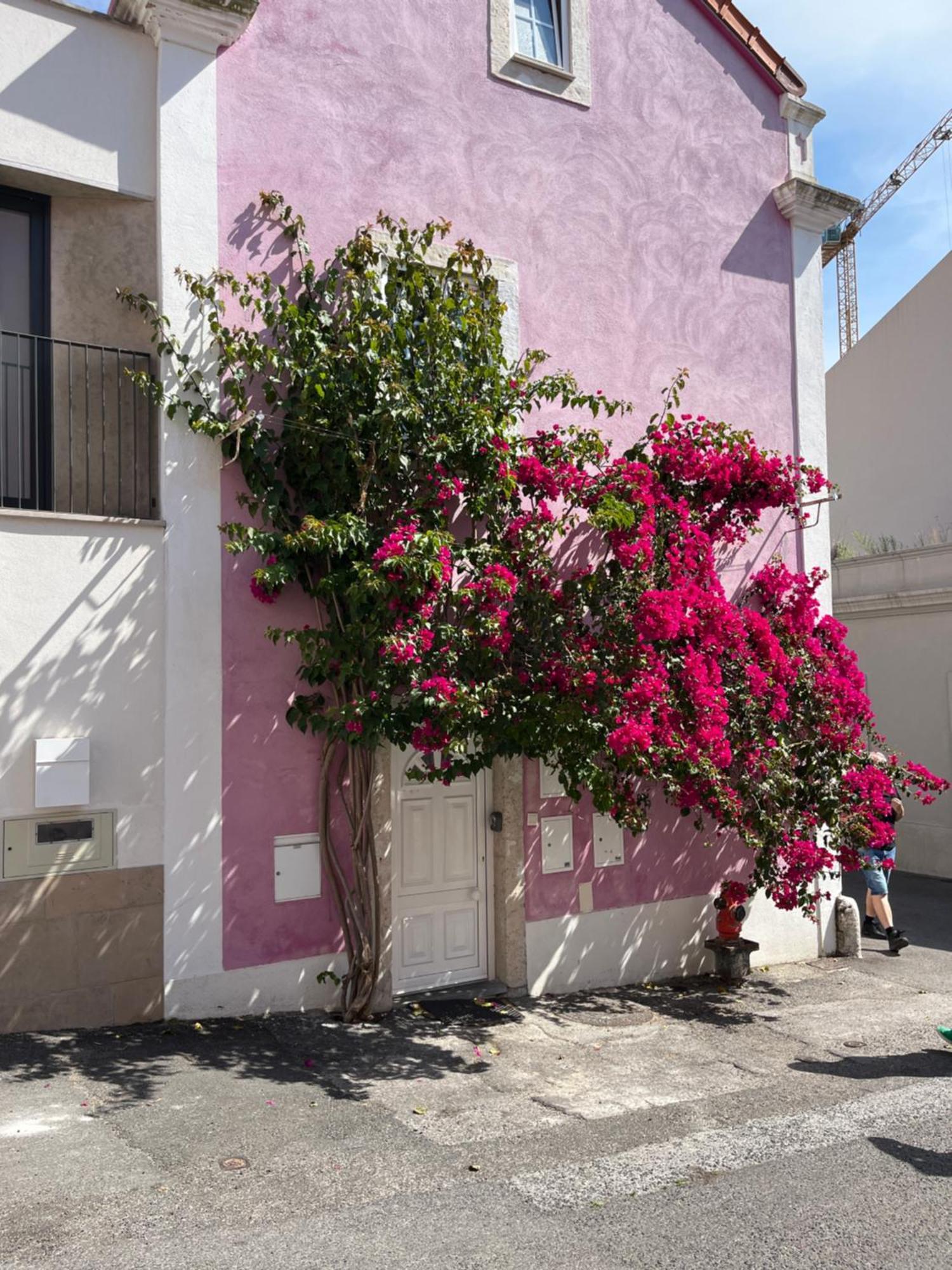 玫瑰色之家公寓 Lisboa 外观 照片